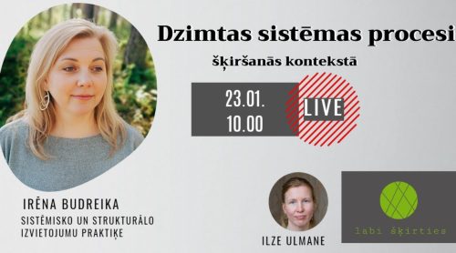 Read more about the article Video: “Dzimtas sistēmas procesi šķiršanās kontekstā”. Saruna ar Irēnu Budreiku. #2